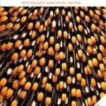 Learning to Fly and Other Stories (English FAL)