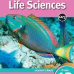 Study & Master Life Sciences Grade 12 Learner's Book
