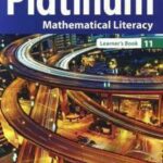 Platinum Mathematical Literacy Grade 11 Learner’s Book
