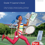 Via Afrika Accounting Grade 11 Learner's Book Ebook (EPUB)