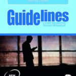 Guidelines: Tsotsi Literature Guide