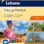 Oxford Lebone Kreiti ya 10 Puku ya Moithuti