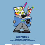 Examination Aid Mathematics Grade 11 / Eksamenhulp Wiskunde Graad 11 (eBook) EPDF