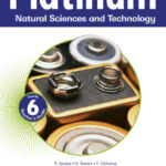 Platinum Natural Sciences and Technology Grade 6 Teacher's Guide ePDF (1-year licence eBook)