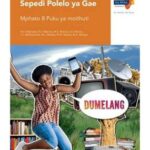 Via Afrika Sepedi Home Language Grade 8 Learner’s Book