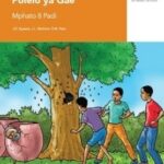 Via Afrika Sepedi Home Language Grade 8 Reader