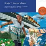 Via Afrika Economics Grade 11 Learner's Book