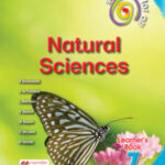 Solutions for all Natural Sciences Grade 7 Learner's Book