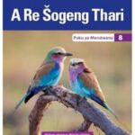 Platinum A Re Šogeng Thari Grade 8 Learner's Book