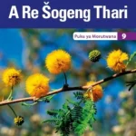 Platinum A Re Šogeng Thari Grade 9 Learner's Book